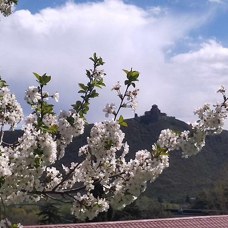 Готель Garden And Panorama Мцхета Екстер'єр фото