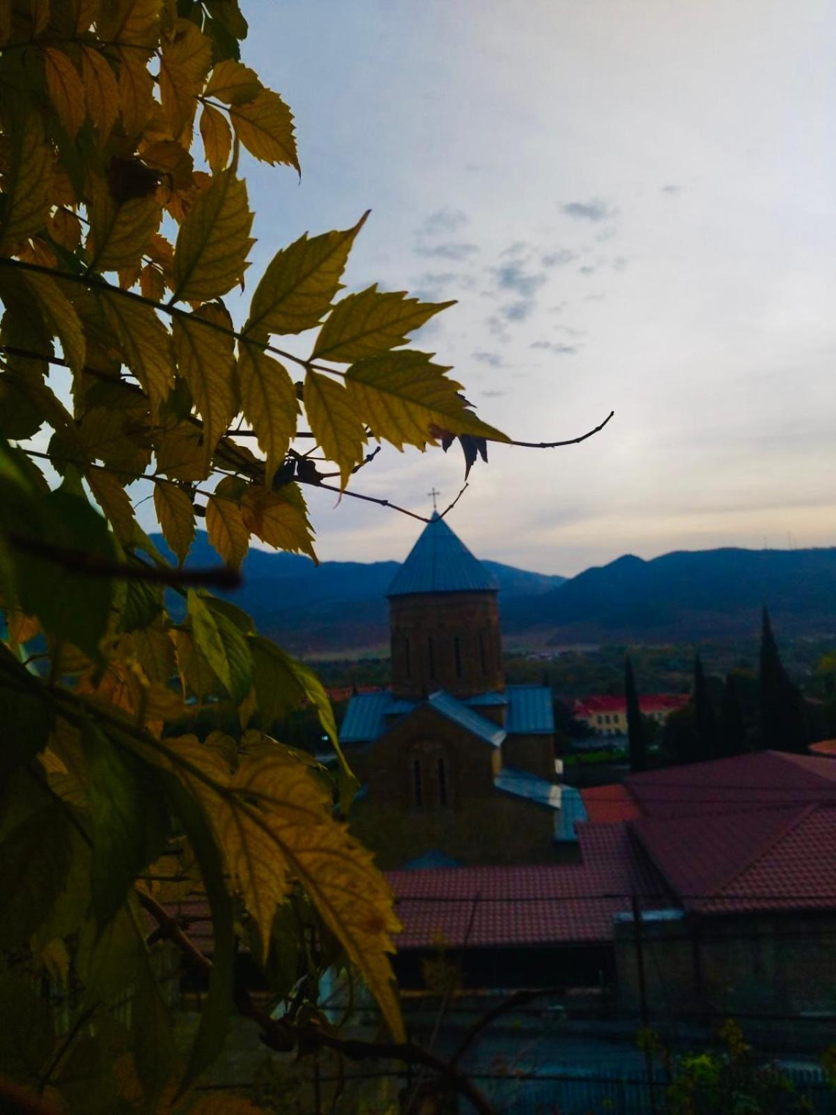 Готель Garden And Panorama Мцхета Екстер'єр фото