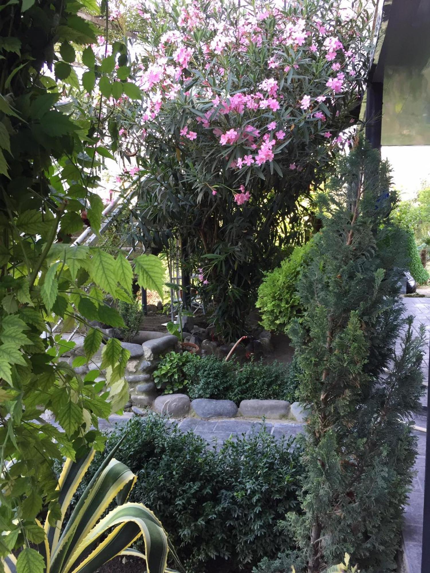 Готель Garden And Panorama Мцхета Екстер'єр фото